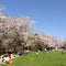戸田記念墓地公園
