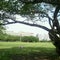 新都心公園