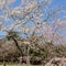 愛知県森林公園（尾張旭森林公園）