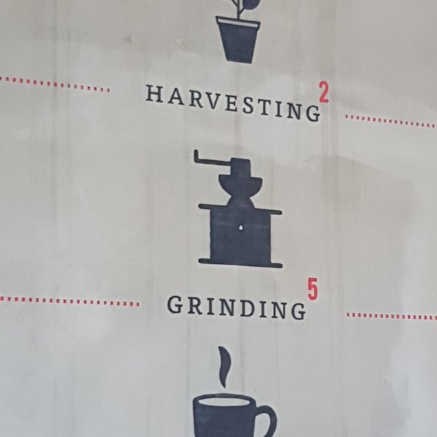 kahve fotografı