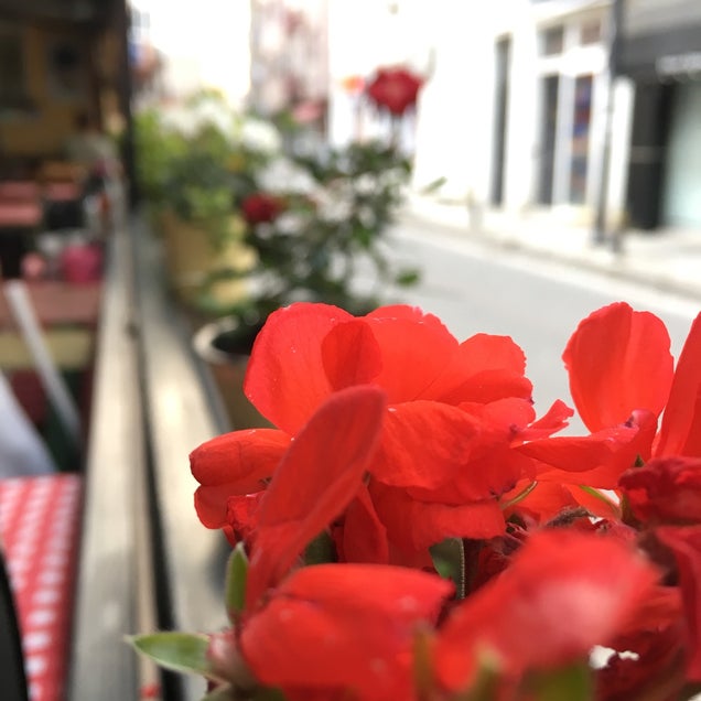 kahve fotografı
