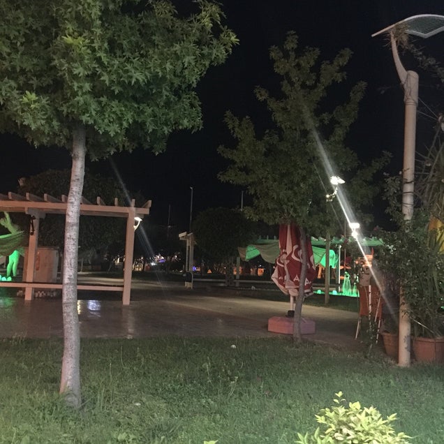 kahve fotografı