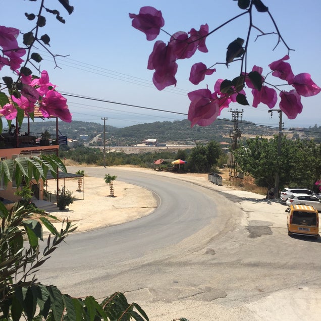 kahvaltı fotografı