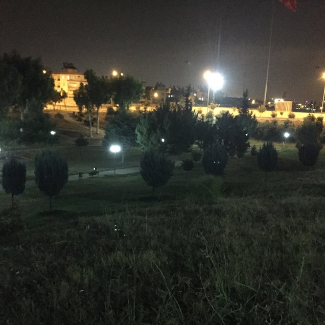 kahve fotografı