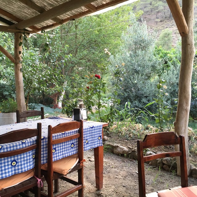 kahvaltı fotoğrafı