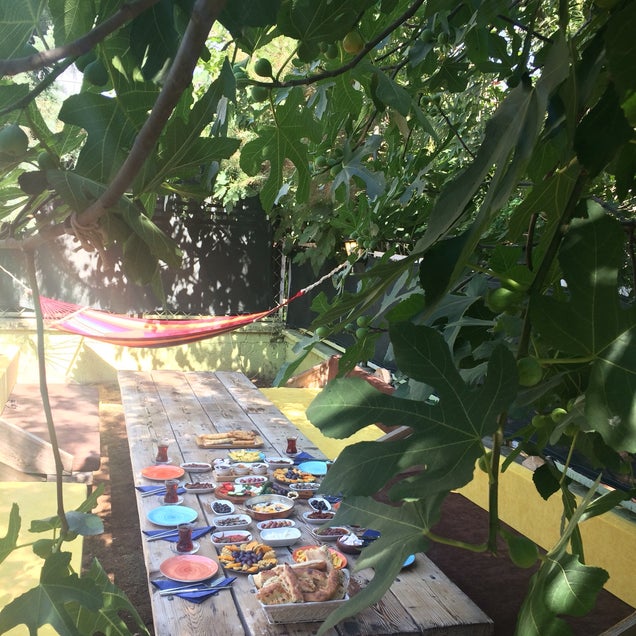 kahvaltı fotoğrafı