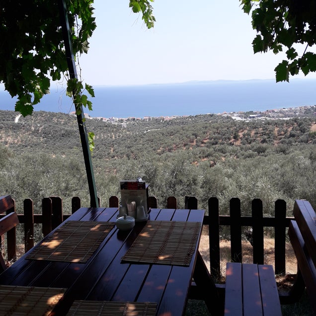 kahvaltı fotografı