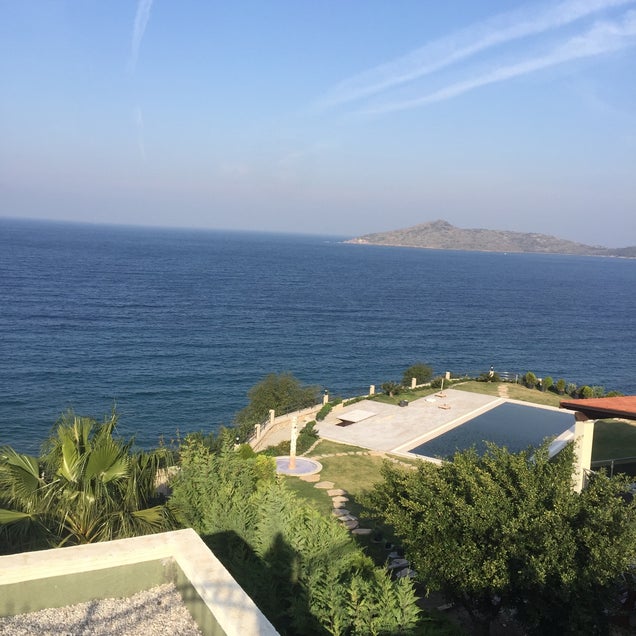 kahve fotografı