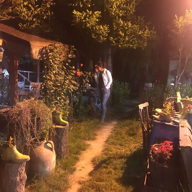 kahve fotografı