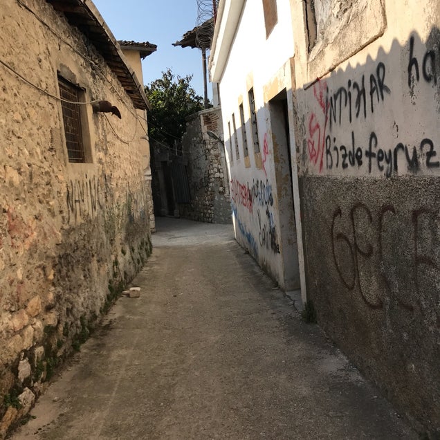 kahve fotografı
