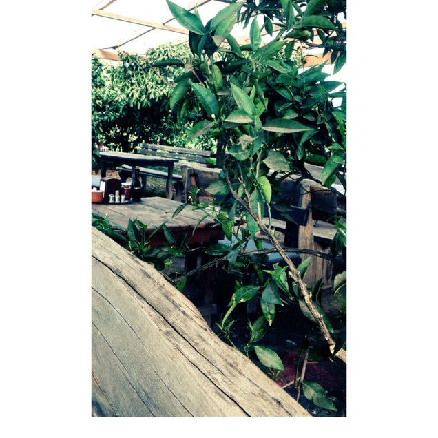 kahvaltı fotoğrafı