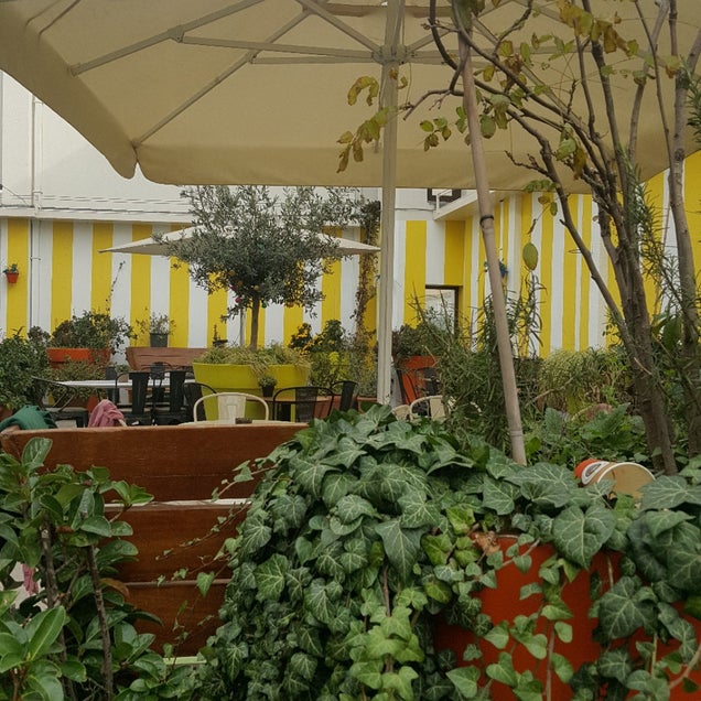 kahve fotografı