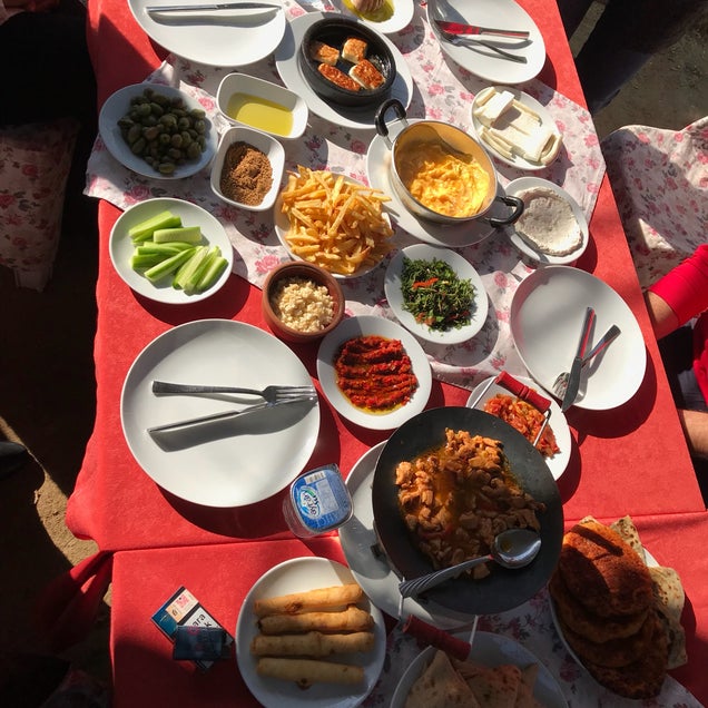 kahvaltı fotoğrafı