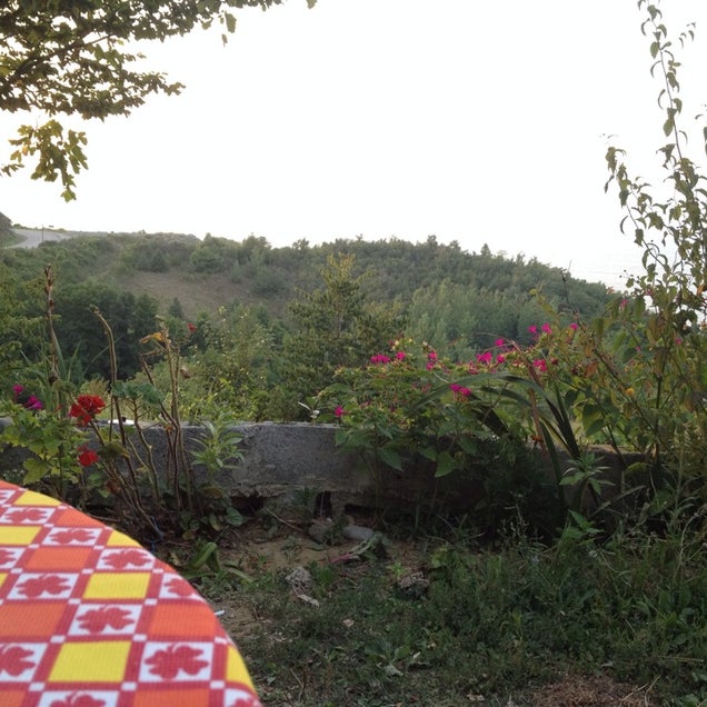 kahvaltı fotoğrafı