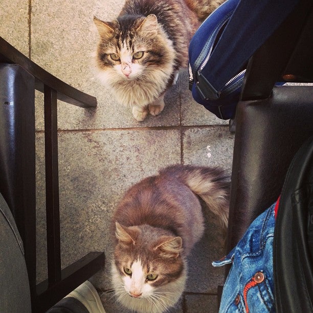 kahvaltı fotografı