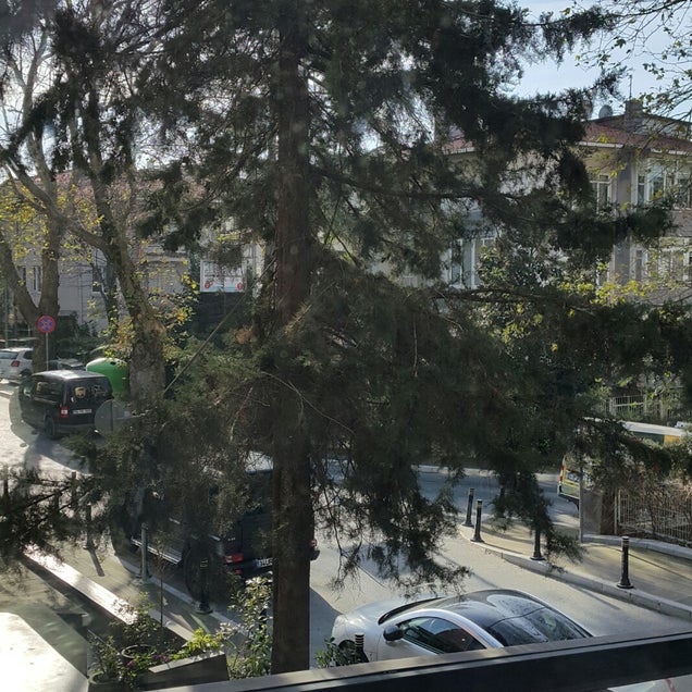 kahve fotografı