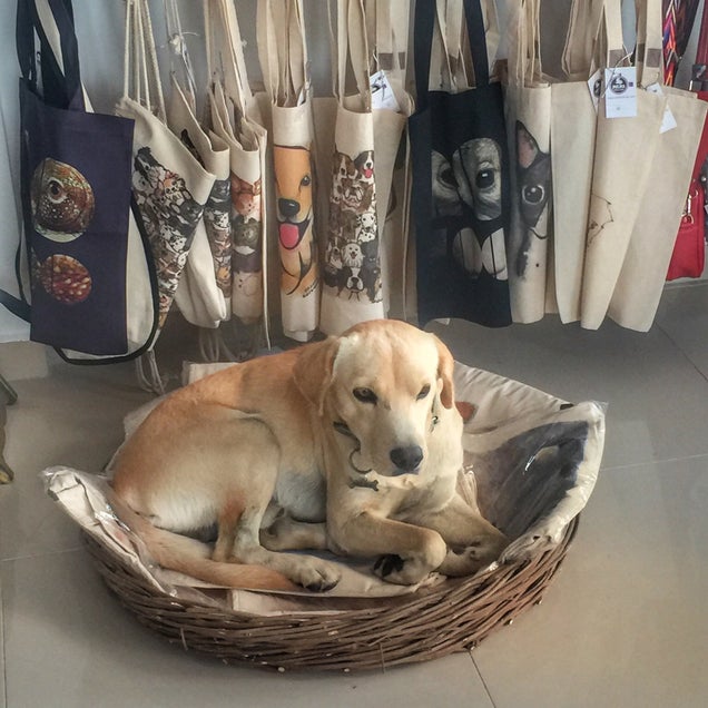 kahve fotografı