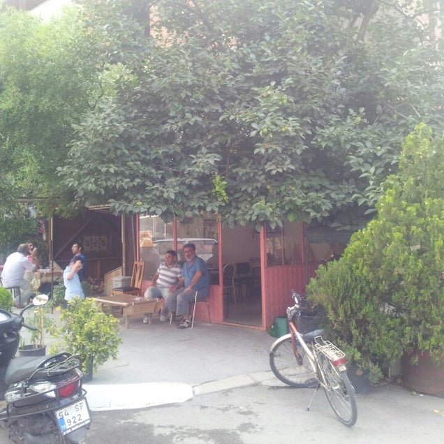 kahve fotografı
