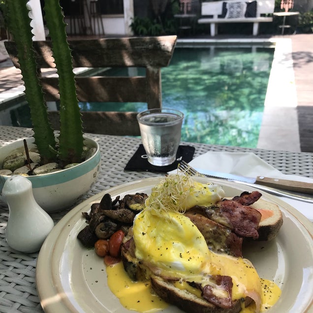 breakfast photo