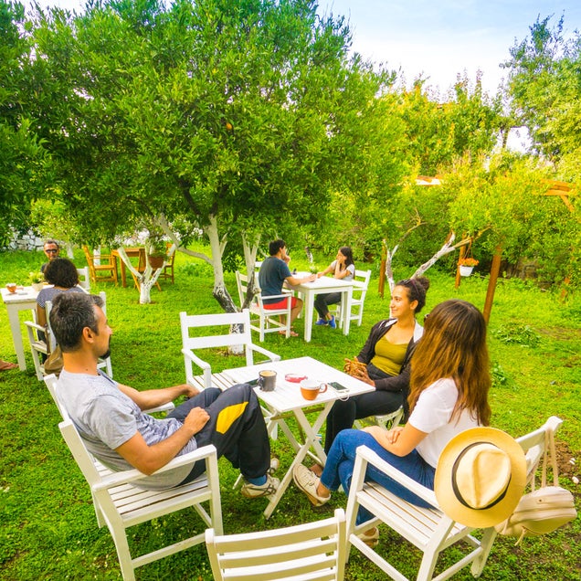 kahve fotografı