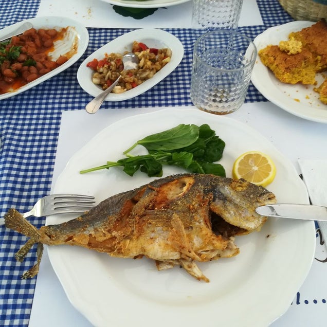 kahvaltı fotoğrafı