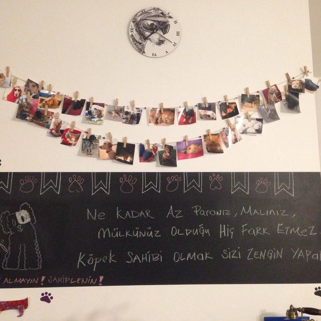 kahve fotografı