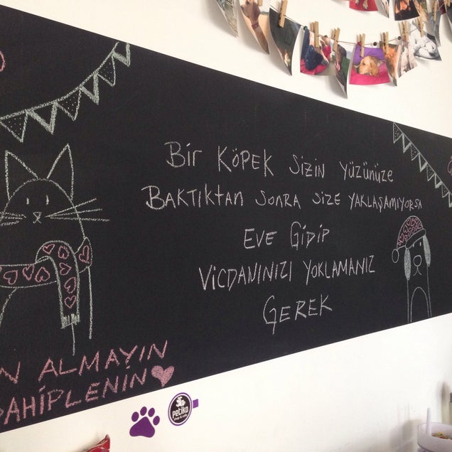 kahve fotografı