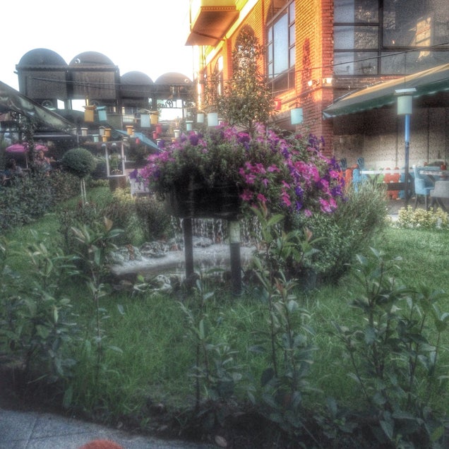 kahve fotografı