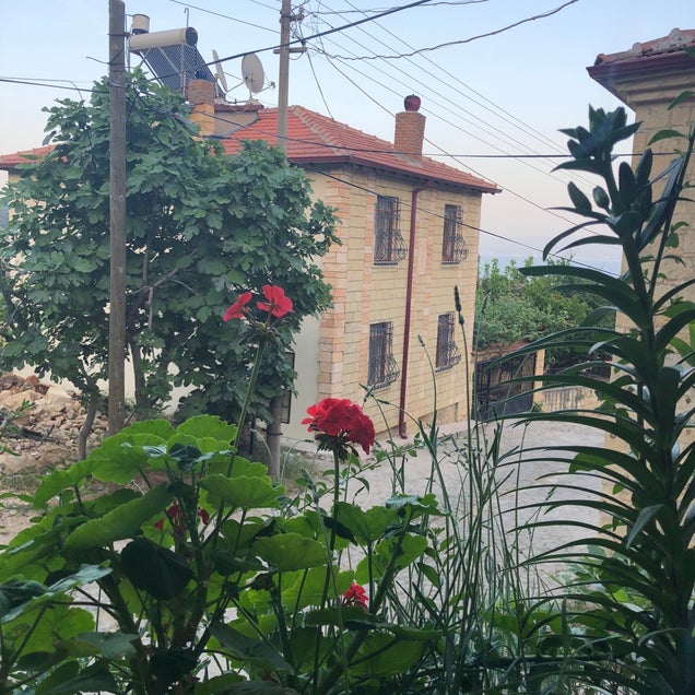 kahvaltı fotografı