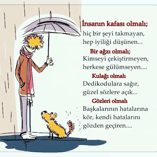 kahve fotografı