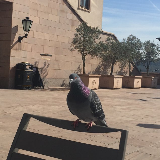 kahve fotografı