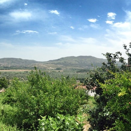 kahve fotografı