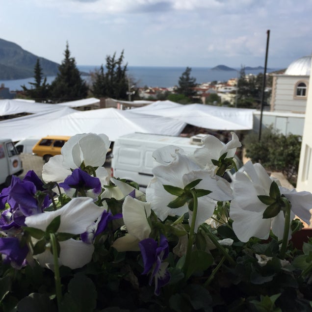 kahvaltı fotoğrafı