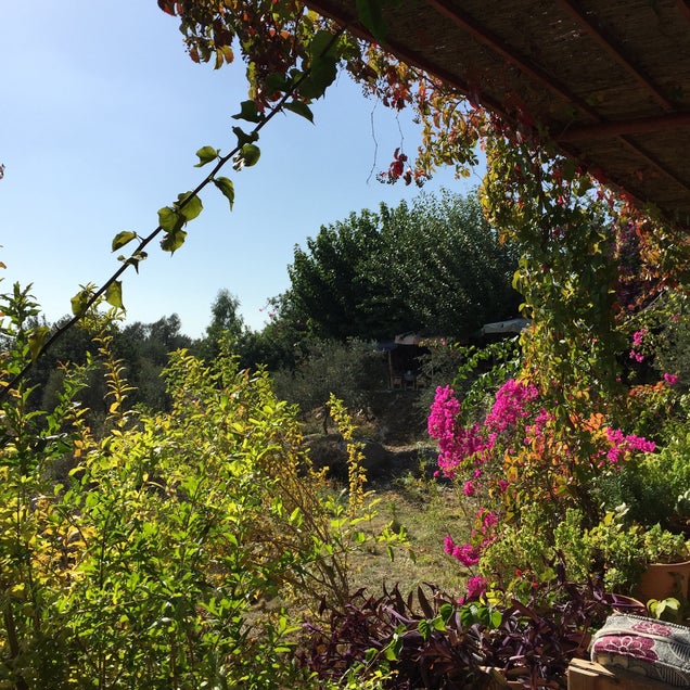 kahvaltı fotografı