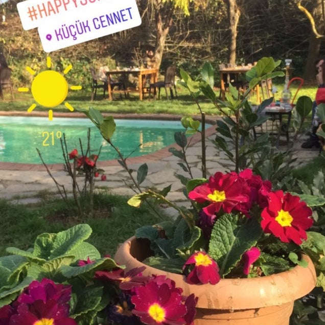 kahvaltı fotoğrafı