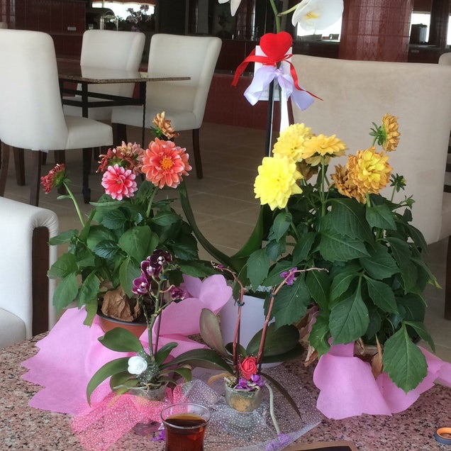 kahvaltı fotografı