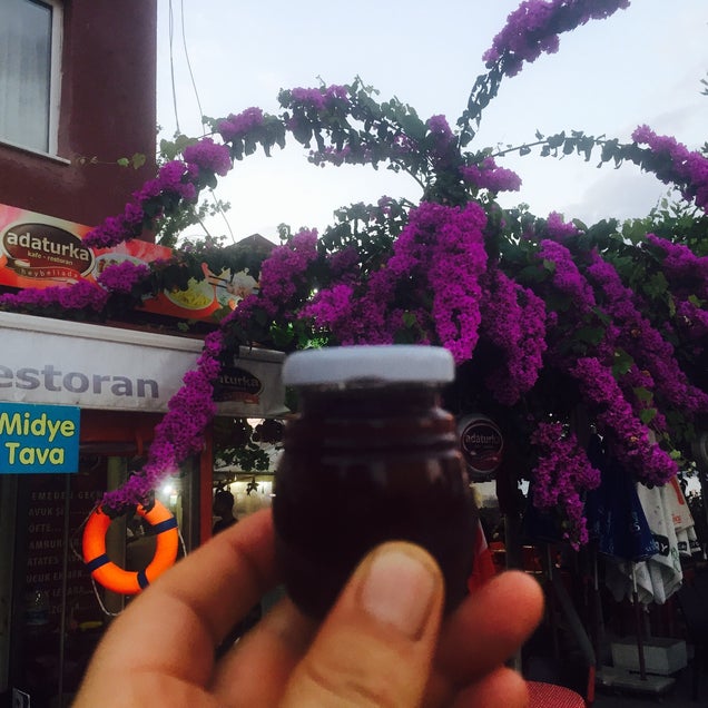 kahvaltı fotografı