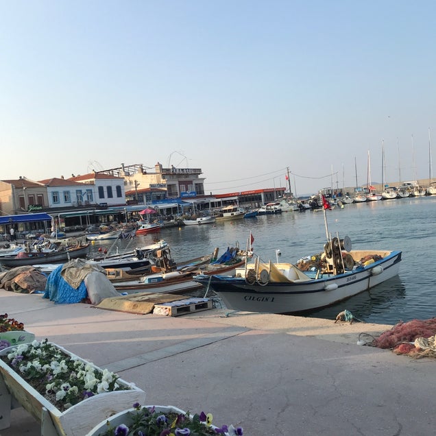 kahve fotografı
