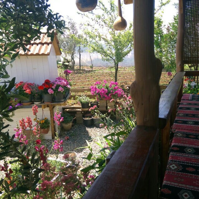 kahvaltı fotoğrafı