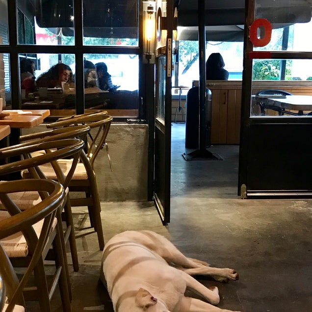 kahve fotografı