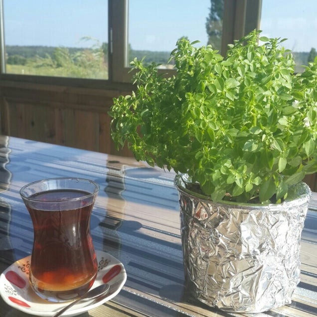 kahvaltı fotografı