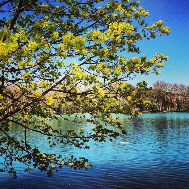 Parc de la Tête d'Or