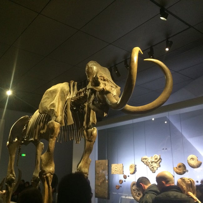 Musée des Confluences