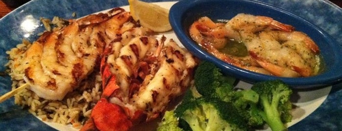 The 15 Best Places For Lobster In Fort Lauderdale Red Lobster Is One Of The 15 Best Places For In Fort Lauderdale