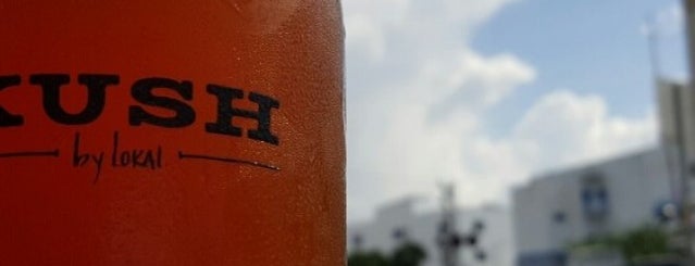 KUSH Wynwood is one of America's Best Beer Gardens.