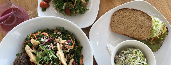 Healthy Restaurants Raleigh Best The 15 Best Places For Healthy Food In Raleigh