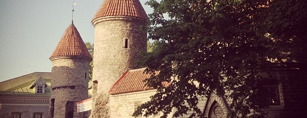pimppi net viru tallinna pimppi net viru tallinna