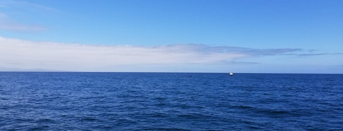 Monterey Bay is one of Lugares favoritos de Matthew.