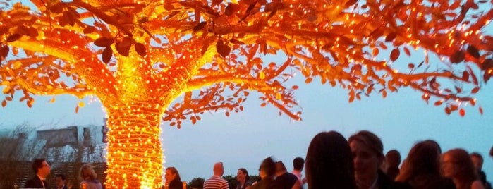 an image of the lit up tree at Sushisamba, Heron Tower, London.