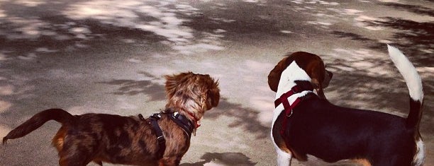 Battery Park Dog Run is one of Tempat yang Disukai Kerry.